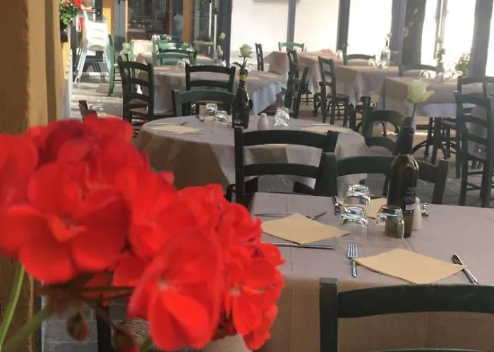 Agnello 3* 타이노